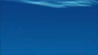 قصة التاء المفتوحة والتاء المربوطة والهاء (السمكة والحوت)