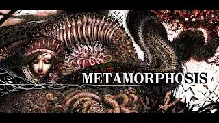 Metamorphosis Demo Full