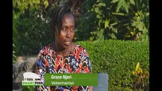 Common diseases that affect pigs - Dr Grace Njeri part 1