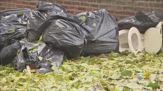 Van Caught In The Act By Fed-Up Neighbors Dumping Garbage On City Property