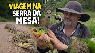 Estrada de terra, desvio e natureza: viagem real &agrave; Serra da Mesa