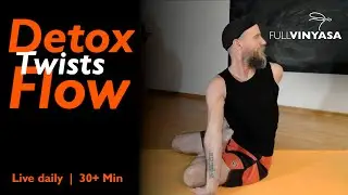 Ashtanga Detox Twists | Realign Your Spine | 30 Min Yoga - Day 544