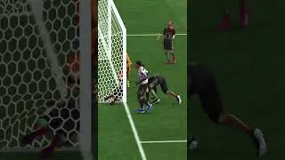 What #fifa #fubbe