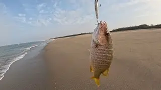 Así Puedes Pescar en la Playa