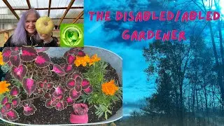 The Disabled/Abled Gardener, Plants, Pests and Patience!