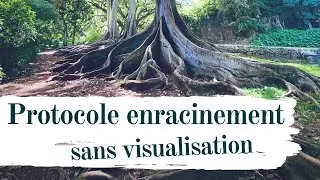 Protocole d'enracinement - Simple et sans visualisation #meditation #m&eacute;ditationguid&eacute;e #enracinement