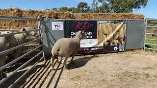 220657