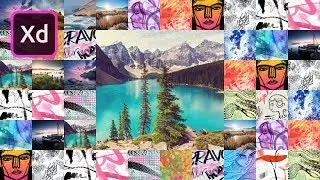 Quickly Present Images Adobe XD Tutorial