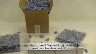 Hortensiablaadjes 'Lichtblauw'
