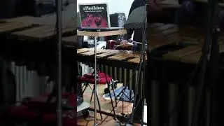 Voltage Controlled Analog Delay on Vibraphone #shorts