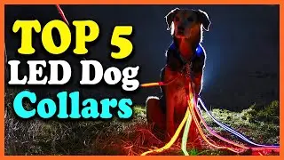 ✅Top 5 Best LED Dog Collars in 2025