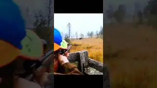 magnificent moose hunting shot #hunting#moose#chasse#deer#chase