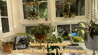 8 Humidity Hacks for Your Greenhouse💧Will They Work | Adding Plants and Charm to Greenhouse #garden 
