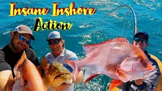 Huge Red Emperor from the Shallows | Vibing the Mackerel Islands