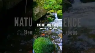 Let it All flow away.. Weekend Reset 💙🕊️ Relaxing Water White Noise #WaterAmbience #InnerPeace