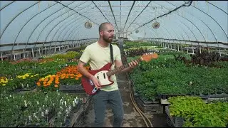 Dominick Fields - Passionate Girl (Official Video)