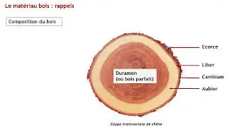 Bois Concept 21 - Extrait du module 