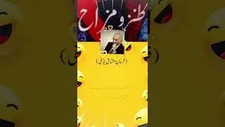 Stir#Comics#Pakistani writers# Tanzo Mizah##urduadab #laughtershorts