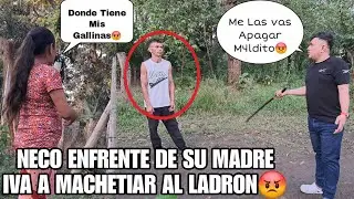 NECO Enfrenta Al M4ldito Ladr0n Por  Robarl3 Las Gallinas Asu Madr3🤬😱Que Gran Problem4 Se Armar4🫡😡