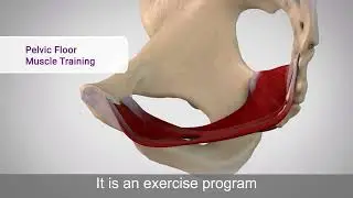 Leva Pelvic Health System Medical Animation