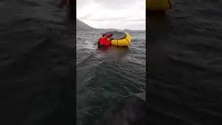 Humpback whale swallows kayaker off Chile before releasing him