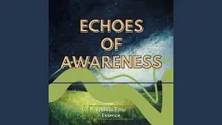 Echoes of Awareness