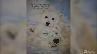 6 Memorable moments with animal families.