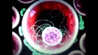 Bj&ouml;rk : Virus (Sample)