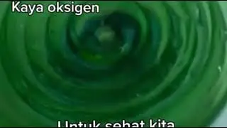 Biovortex 081252219899