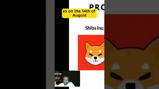 Shiba Inu's Prophetic Price Point