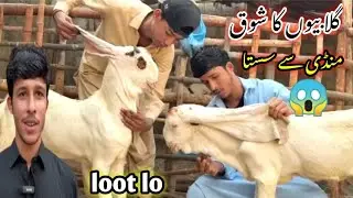 Farhan Goat Farm Visit Latest Update❤️|26-Dec-25🔥Mandi Say Kam Kimat Mein 😱,