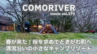 20250328埼玉県【COMORIVER】春が来た！桜を求めてときがわ町へ。清流沿いの小さなキャンプリゾート。