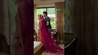 Kamre Mein Aao Ek Surprise Hai 😯🤩 #shorts #saniyashamshad #hammadfarooqui #aikbhool #shortsfeed