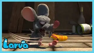rattenjacht - LARVA | Tekenfilms voor kinderen | WildBrain Kinderen