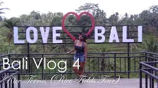 Bali Vlog 4   Rice Terras Rice Fields Tour