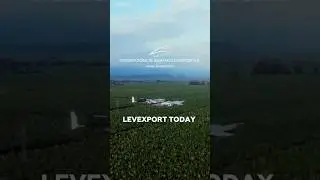 Levexport today #distributor #Ecuador #bananas  #banana