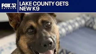 Lake County Sheriff&rsquo;s Office introduces K9 Zack, explosives expert and newest community protector