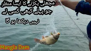 Mangla Dam Fishing 2018 (NET FISHING)