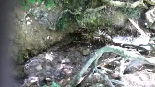 Silent Pool :D SCARY!!!!