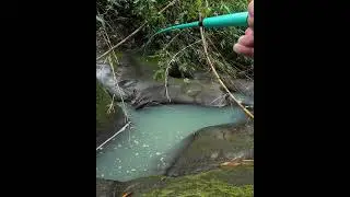 Mancing wader dengan teknik nutul #mancing