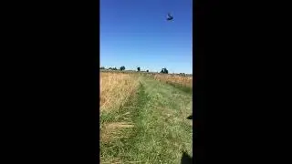 Follow the Footsteps: Center of Pickett's Charge