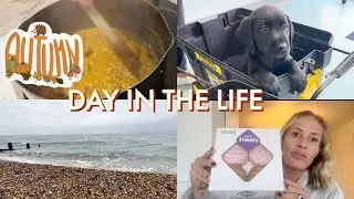 DAY IN THE LIFE OF A UK SAHM | TOO GOOD TO GO GREGGS MAGIC BAG | MARKS CURRY | WALKS |
