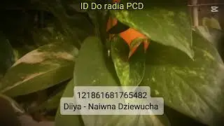 ID Do radia pcd #wiawis #wybijesie #funny  #poradnik 