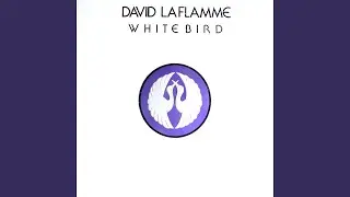 White Bird