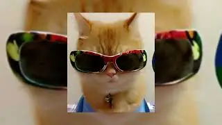 shape of you (speed up)