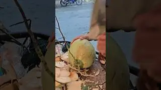 Fresh coconut cutting skills #viral #shorts #streetfood