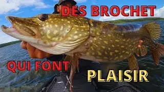 un weekend peche brochet silure biscarosse