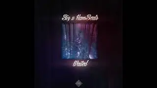 Biz & HamBeats - Waited (Original Mix)