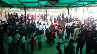 Eco adventure camp inside view