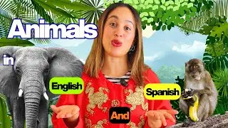Learn Jungle Animals in English and Spanish | Bilingual Learning for Toddlers